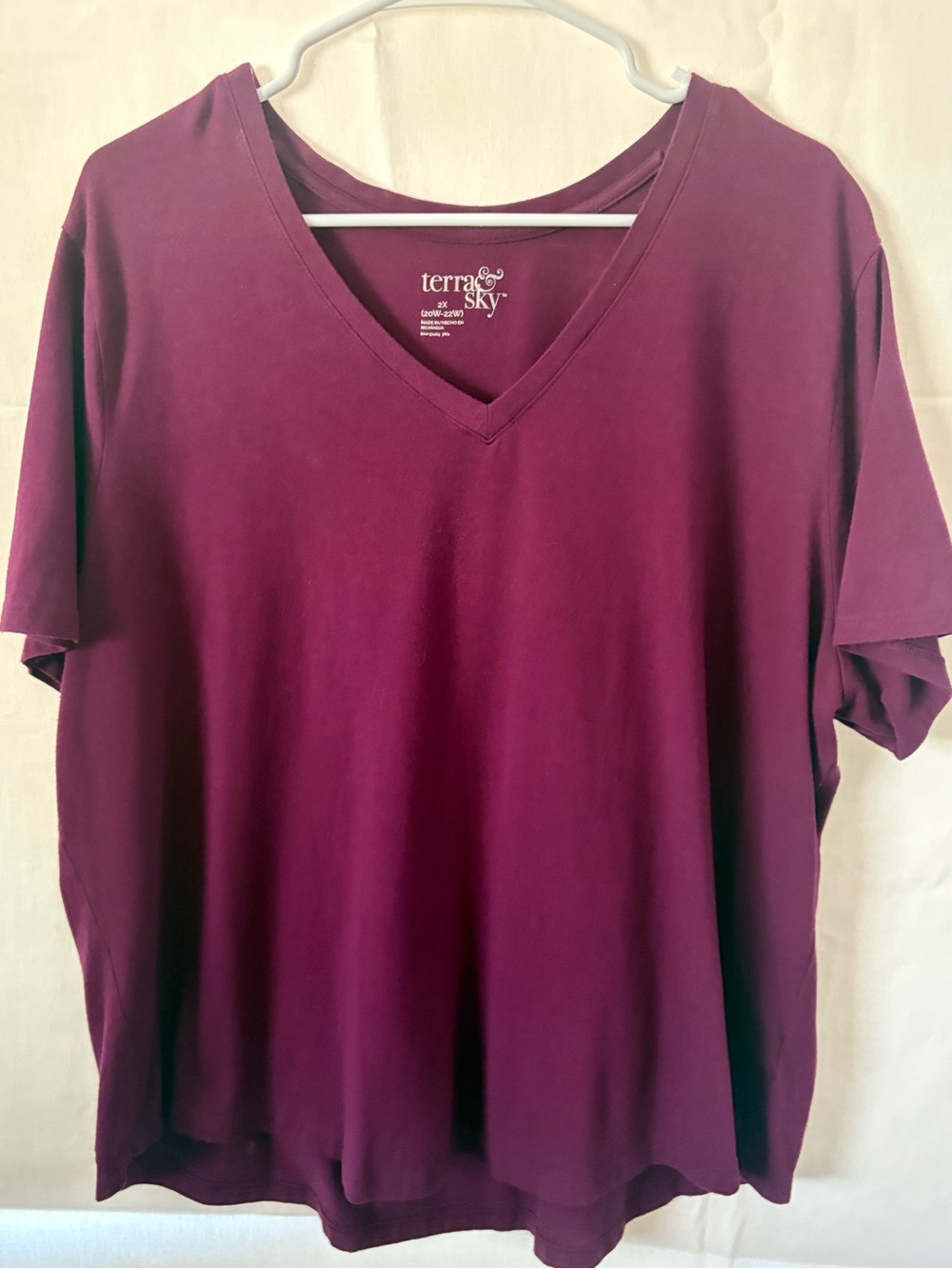 Terra & Sky V-Neck Short Sleeve Top - Plum